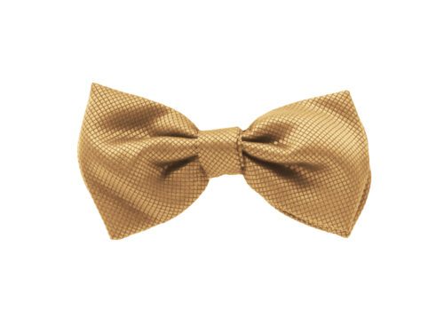 Fellini Jacquard Beige Bowtie