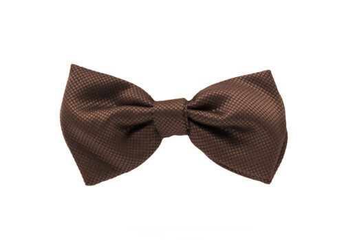 Fellini Jacquard Brown Bowtie