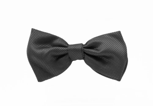 Fellini Jacquard Charcoal Bowtie