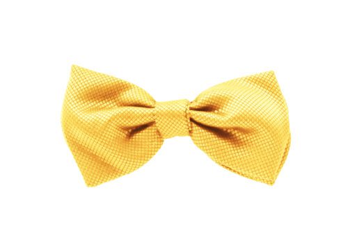 Fellini Jacquard Gold Bowtie