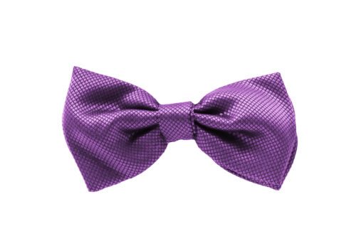 Fellini Jacquard Violet Bowtie