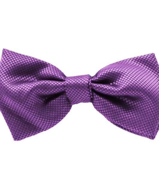 Fellini Jacquard Violet Bowtie