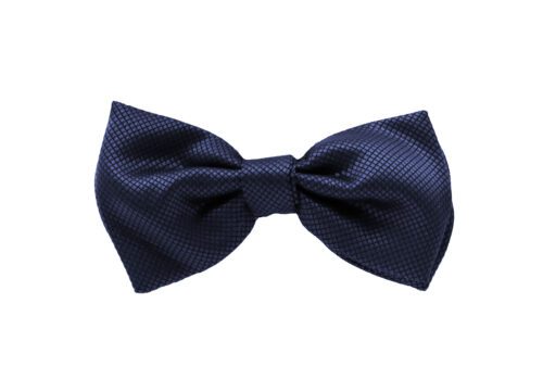 Fellini Jacquard Navy Bowtie