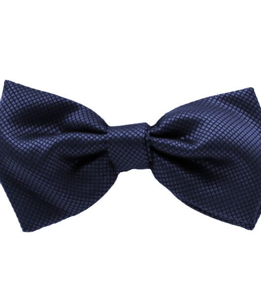 Fellini Jacquard Navy Bowtie