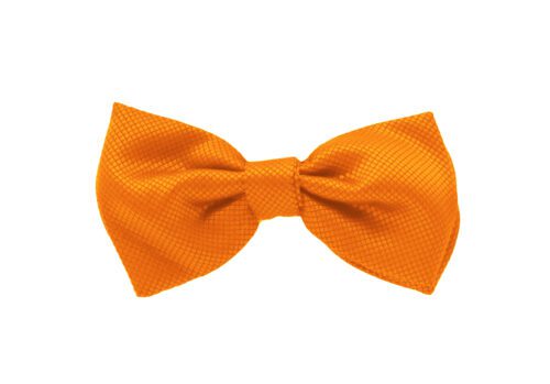 Fellini Jacquard Orange Bowtie