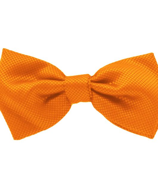 Fellini Jacquard Orange Bowtie