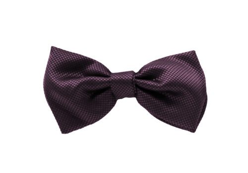 Fellini Jacquard Purple Bowtie