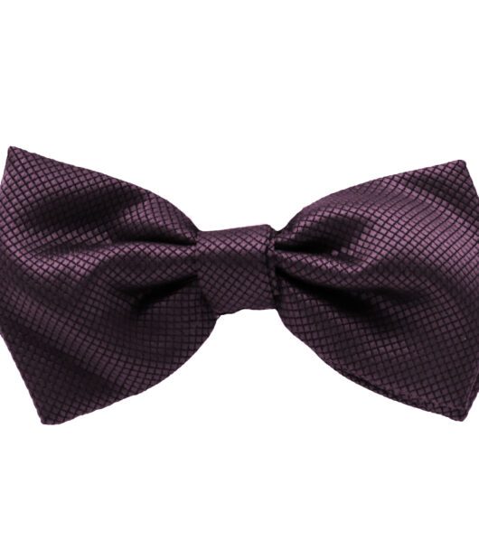 Fellini Jacquard Purple Bowtie