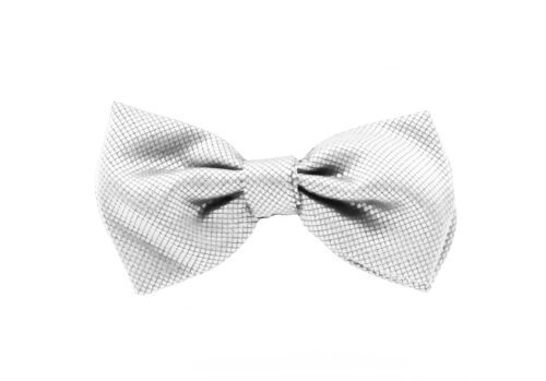 Fellini Jacquard Silver Bowtie