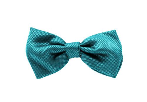 Fellini Jacquard Teal Bowtie