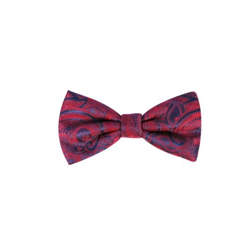 Burgundy Paisley Silk Bowtie