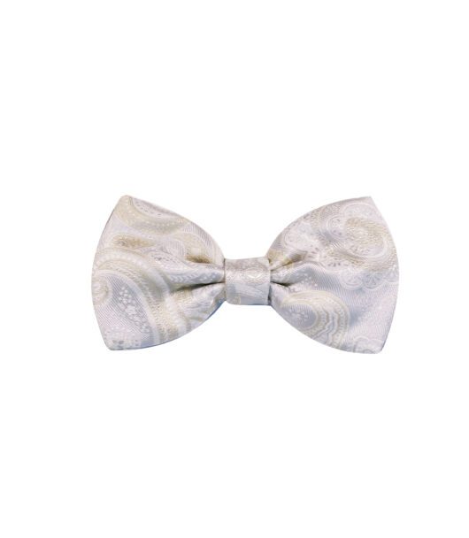 Champagne Paisley Silk Bowtie