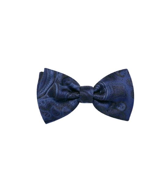 Navy Paisley Silk Bowtie