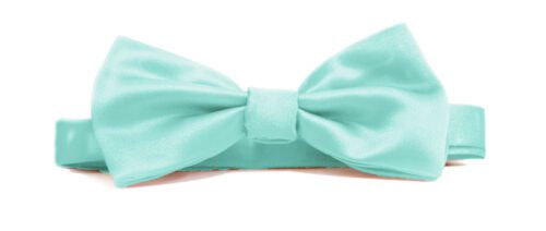 Fellini Plain Aqua Bowtie