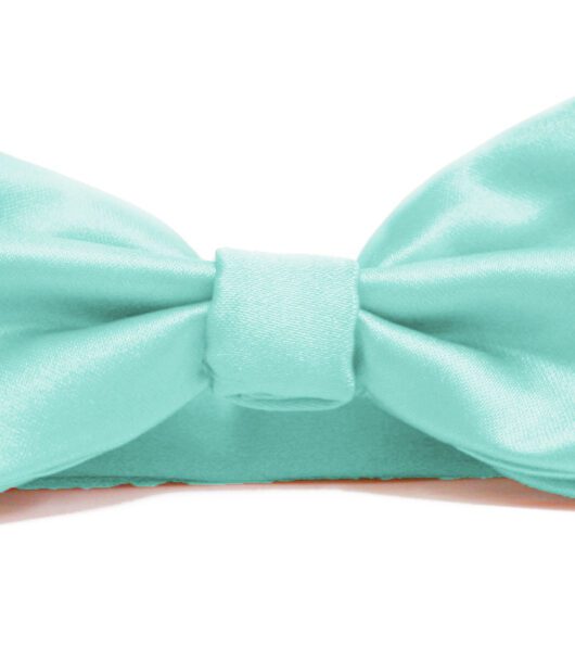 Fellini Plain Aqua Bowtie