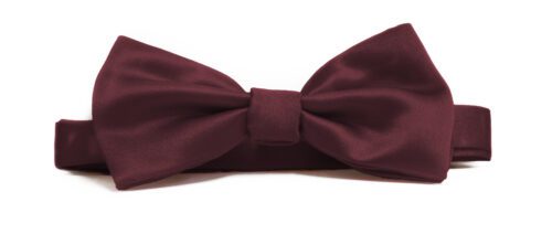 Fellini Plain Burgundy Bowtie