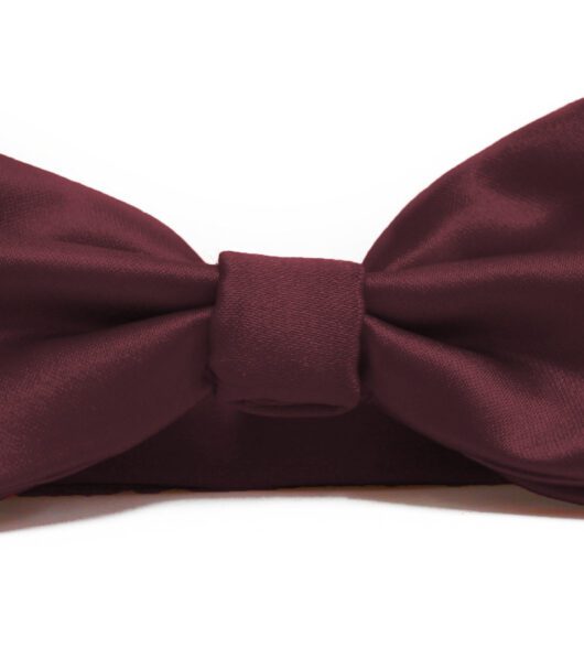 Fellini Plain Burgundy Bowtie