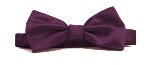 Fellini Plain Purple Bowtie