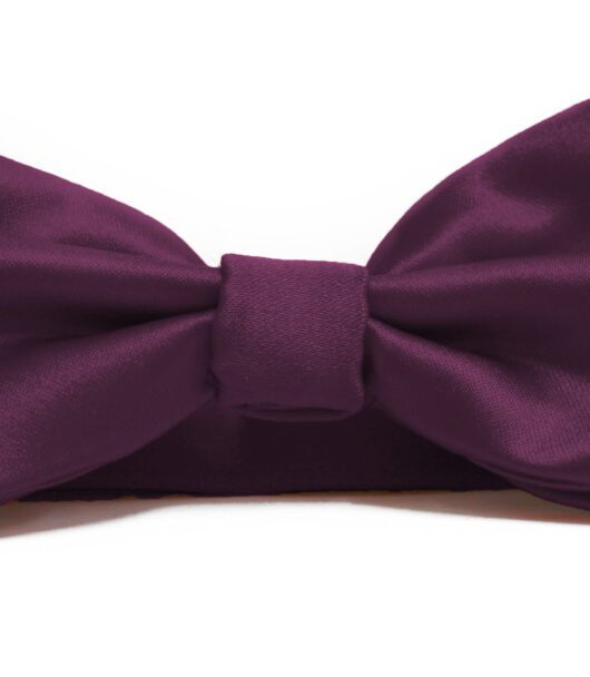 Fellini Plain Purple Bowtie