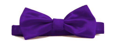 Fellini Plain Violet Bowtie